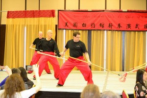 Tai Chi Long Pole